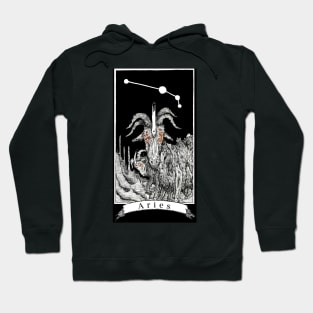 Aries - The Zodiac Retrograde Hoodie